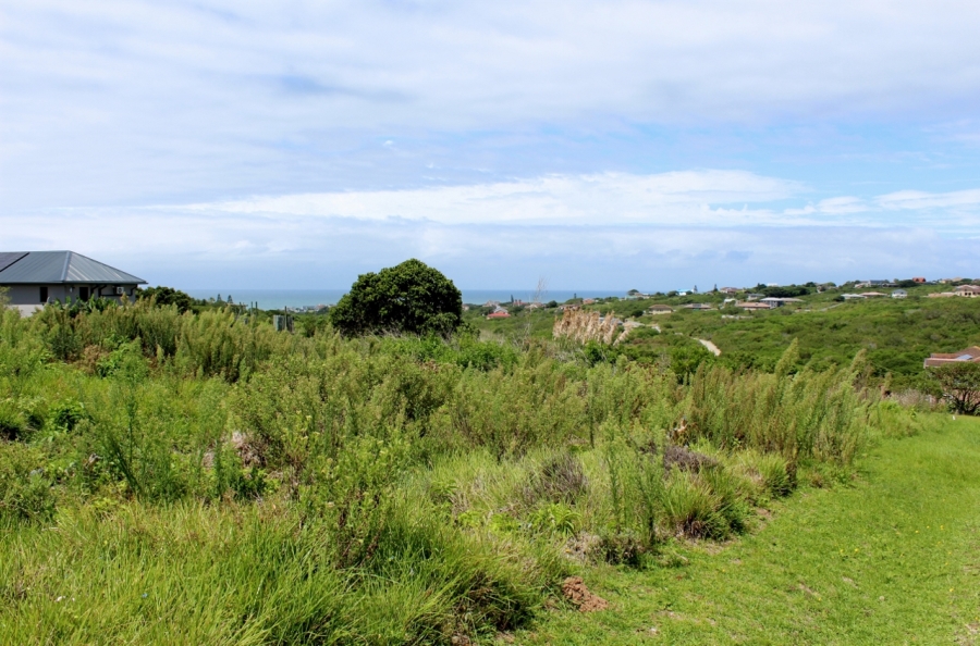 0 Bedroom Property for Sale in Forest Downs Eastern Cape